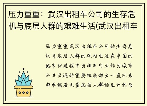 压力重重：武汉出租车公司的生存危机与底层人群的艰难生活(武汉出租车行业怎么样)