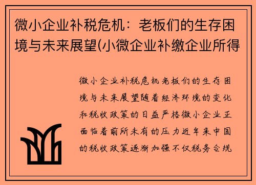 微小企业补税危机：老板们的生存困境与未来展望(小微企业补缴企业所得税账务处理)