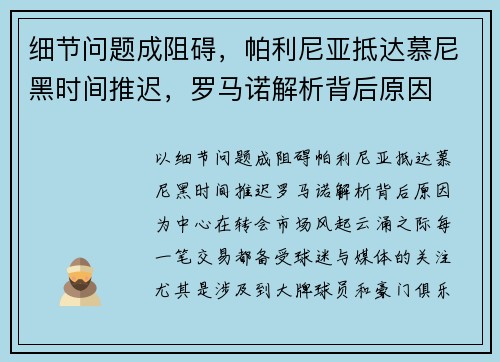 细节问题成阻碍，帕利尼亚抵达慕尼黑时间推迟，罗马诺解析背后原因