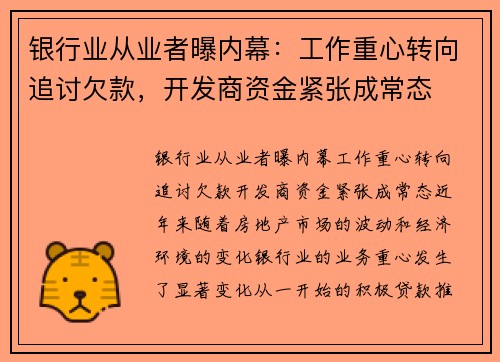 银行业从业者曝内幕：工作重心转向追讨欠款，开发商资金紧张成常态