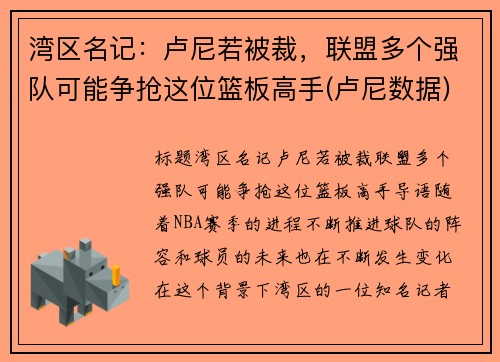 湾区名记：卢尼若被裁，联盟多个强队可能争抢这位篮板高手(卢尼数据)
